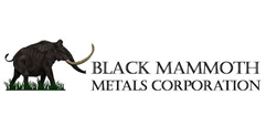 Black Mammoth Metals Samples up to 2160 g/t Ag and 20% Pb at Leadore, Idaho